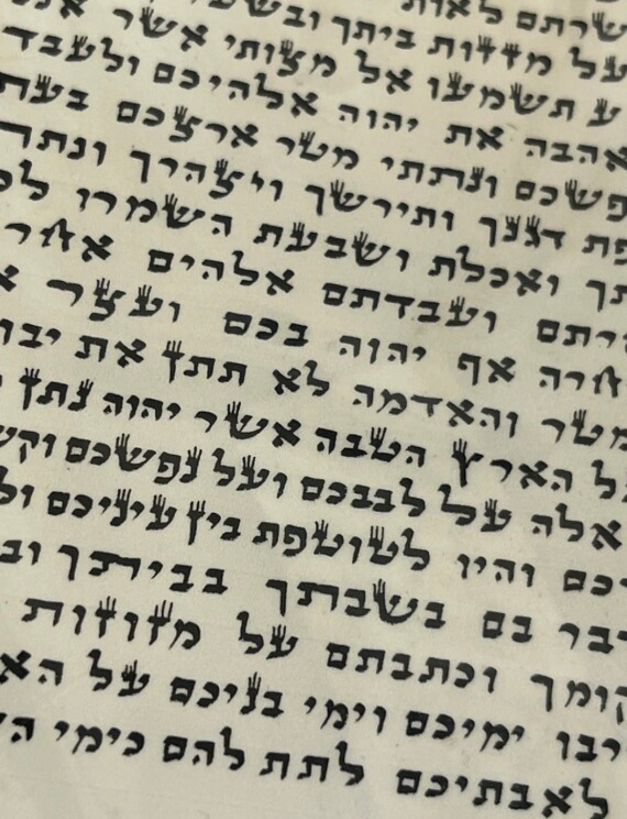 Scroll